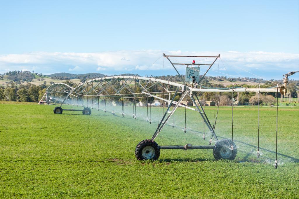 164 Settlement Bridge Rd, Canowindra, NSW 2804