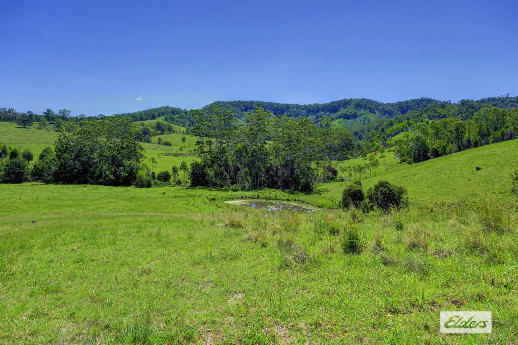 Kings Creek Rd, Krambach, NSW 2429