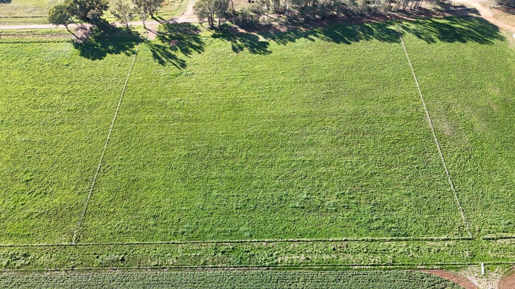 Lot 110/16 Halls Lane, Grenfell, NSW 2810