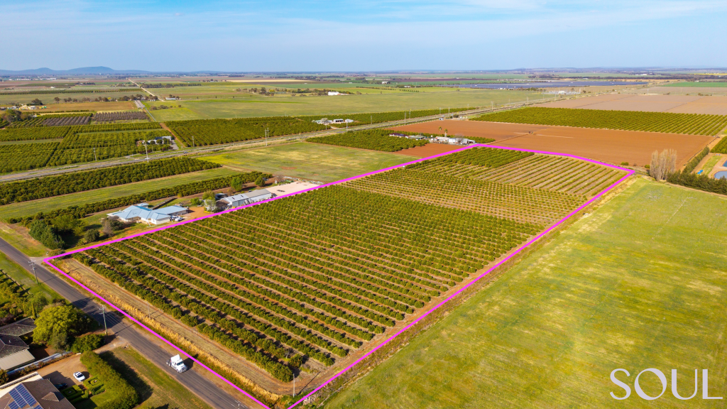 23 MURRAY RD, YOOGALI, NSW 2680