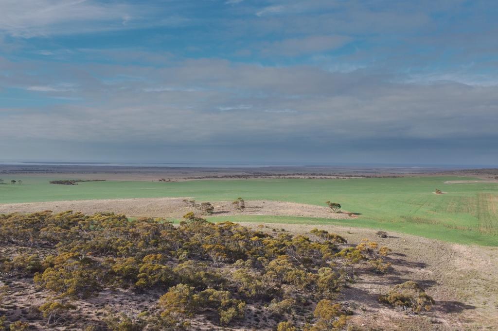 109 Birdseye Hwy, Cowell, SA 5602