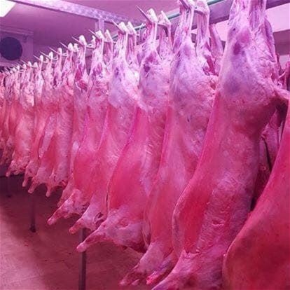 Contact Agent For Address, Campbellfield, VIC 3061