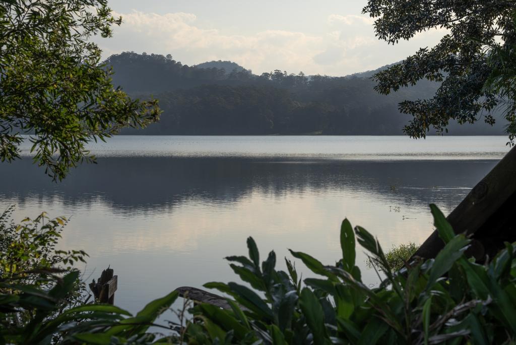 207 Narrows Rd, North Maleny, QLD 4552