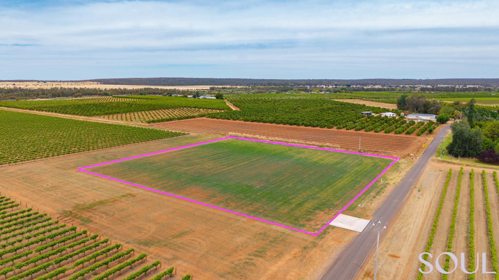 Lot 1 Of 161/296 Mccarthy Rd, Lake Wyangan, NSW 2680