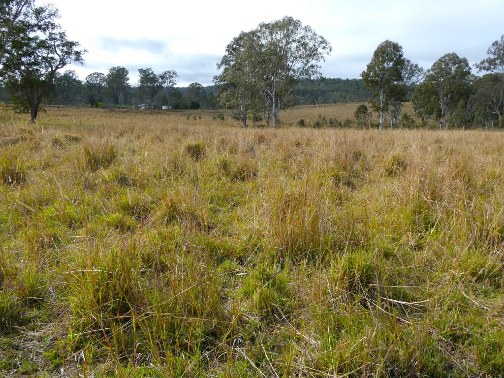 70 Bairds Rd, Lower Duck Creek, NSW 2469