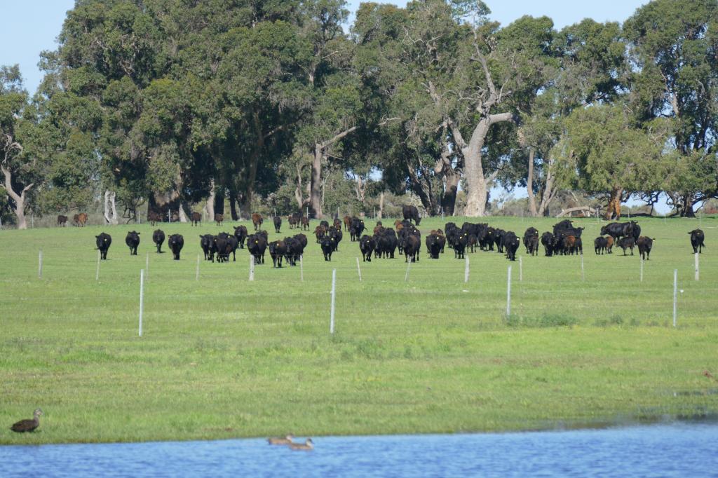 1770 Beermullah Rd W, Wanerie, WA 6503