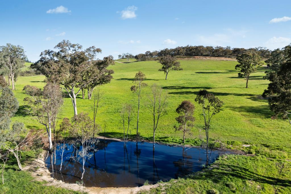 358 BELGRAVIA RD, MULLION CREEK, NSW 2800