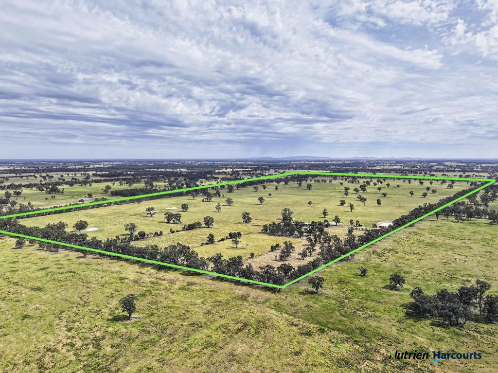 43 ROBINSON RD, VIOLET TOWN, VIC 3669