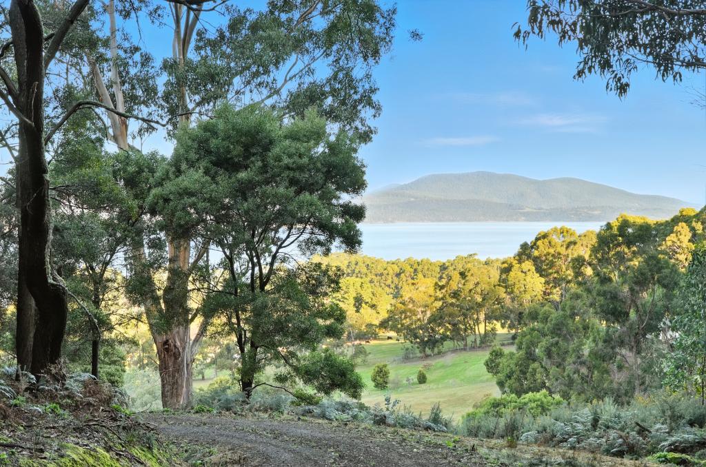 50 Mcdowall St, Middleton, TAS 7163