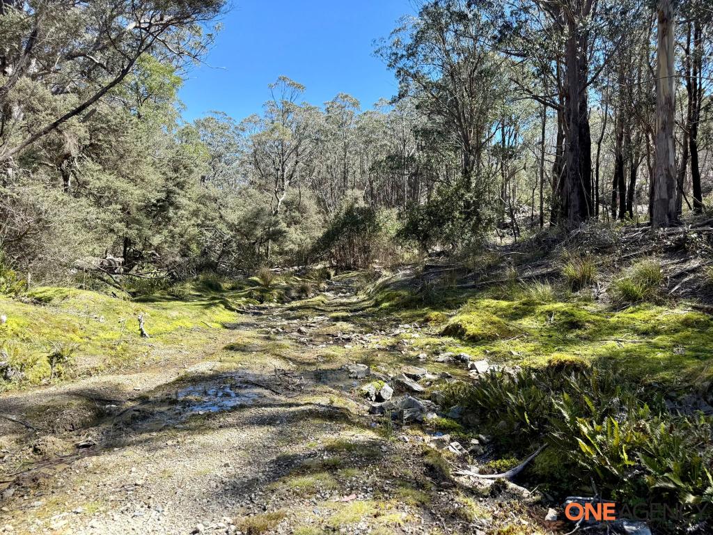 Lots 113 & 114 Kydra Firetrail Greenlands Rd, Greenlands, NSW 2631