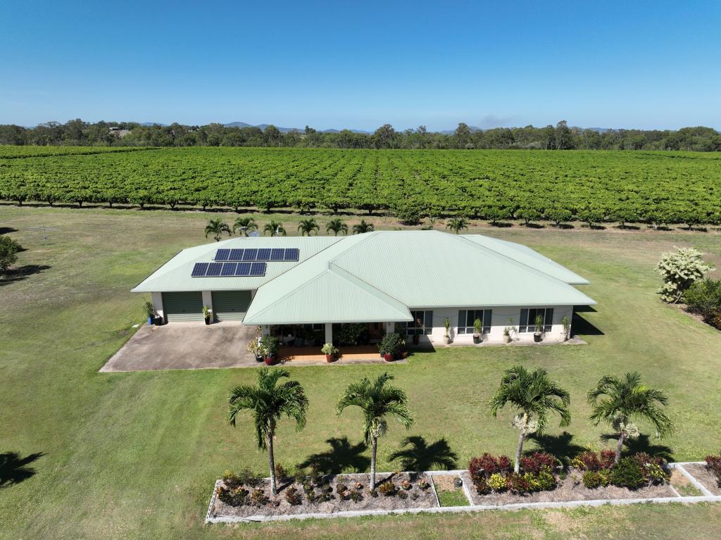 Contact Agent For Address, Chewko, QLD 4880