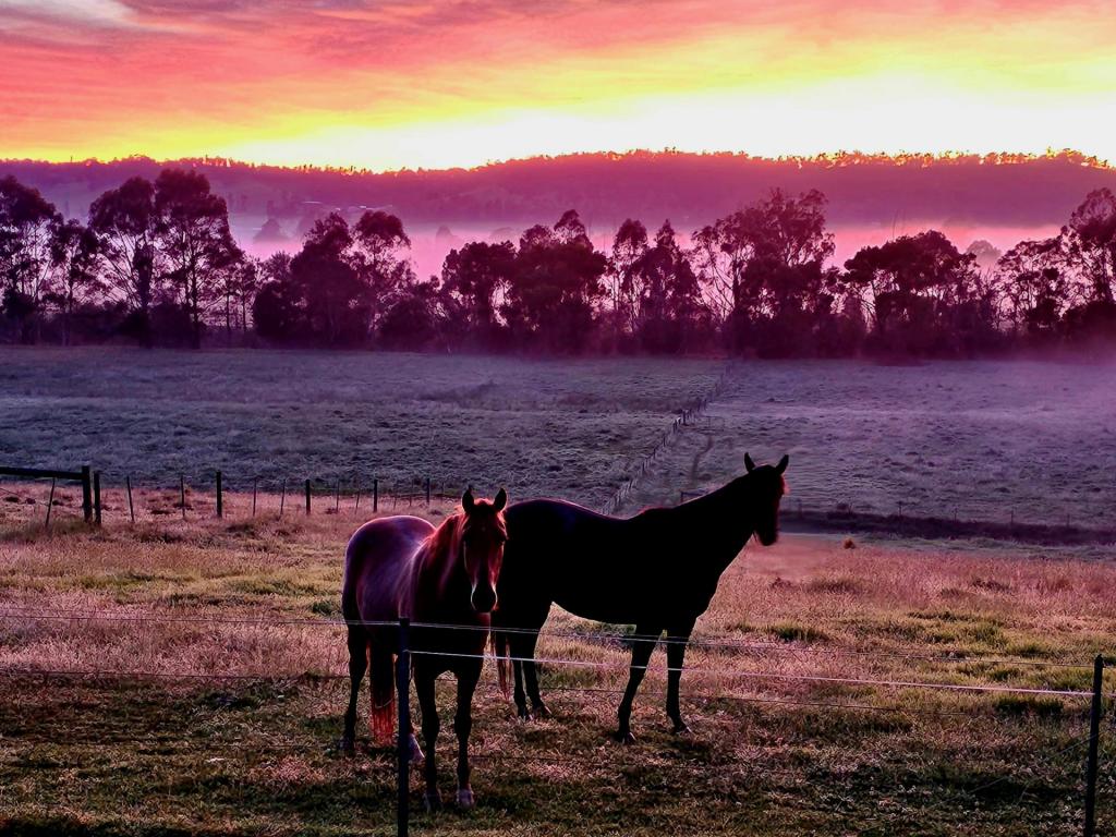 21b School Rd, Sarsfield, VIC 3875