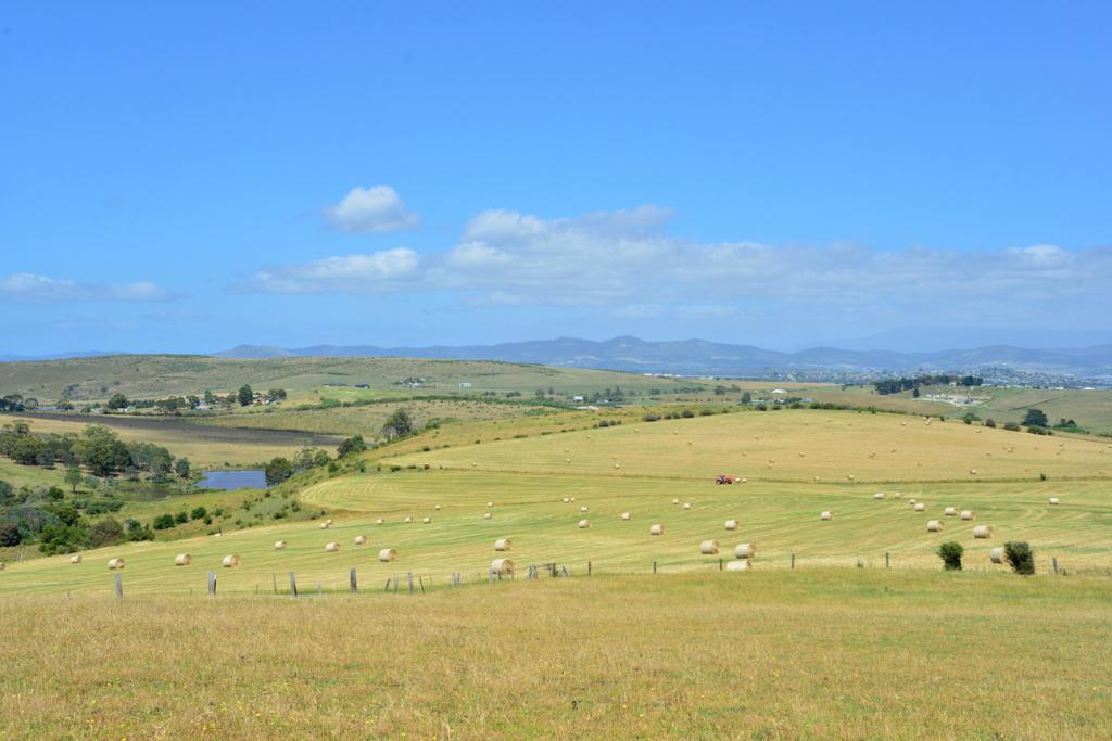 312 Nugent Rd, Wattle Hill, TAS 7172