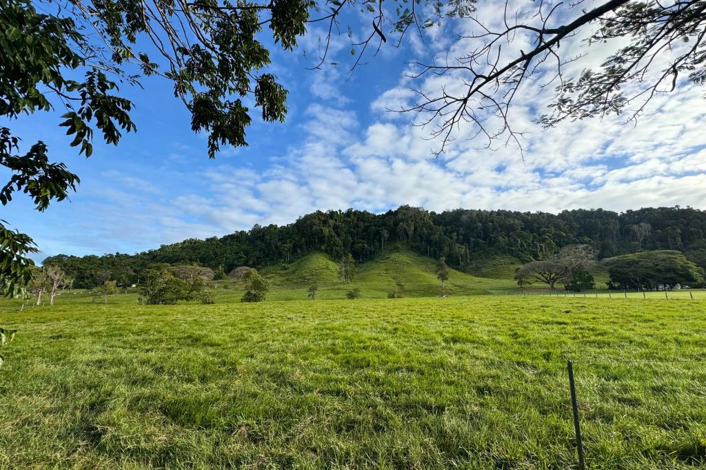 3391 Mossman Daintree Rd, Daintree, QLD 4873