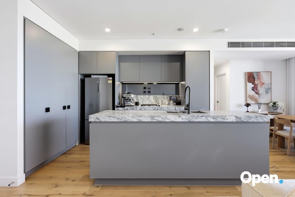 401/165B MILTON ST, ASHBURY, NSW 2193