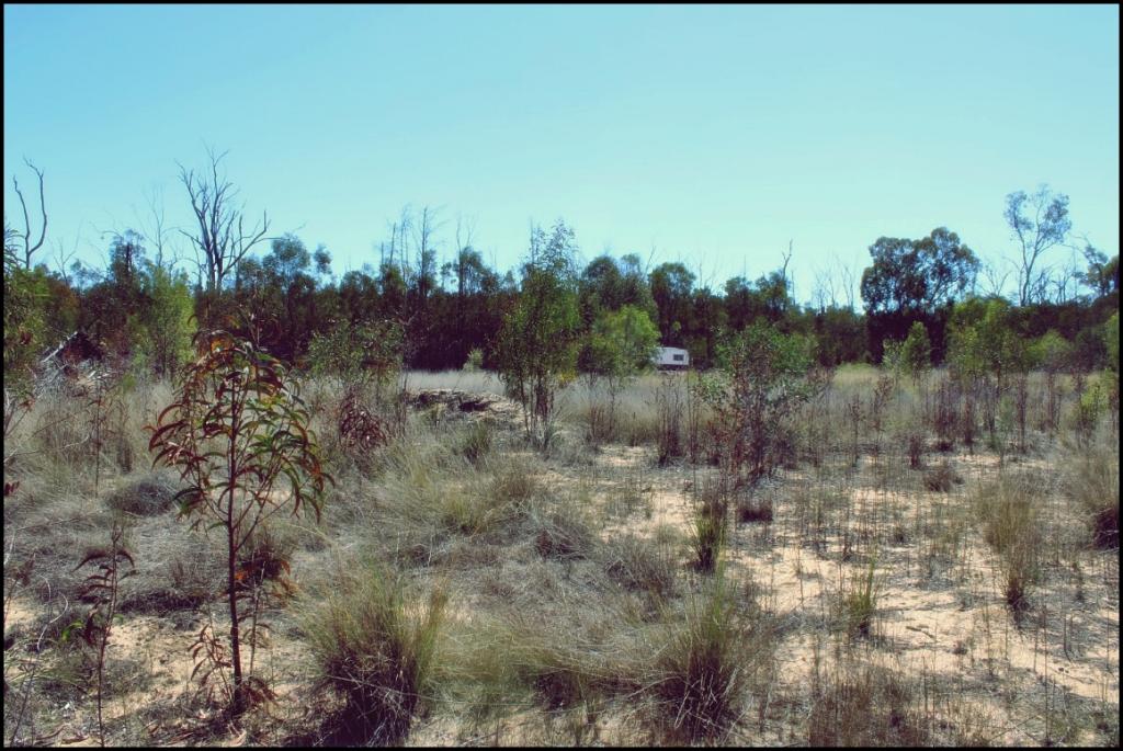 LOT 8/0 BASIL DR, FOREST RIDGE, QLD 4357