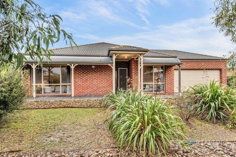56 Northumberland Cct, Craigieburn, VIC 3064