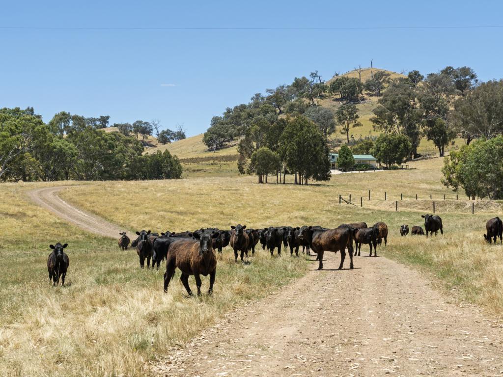 929 Monkey Gully Rd, Goughs Bay, VIC 3723