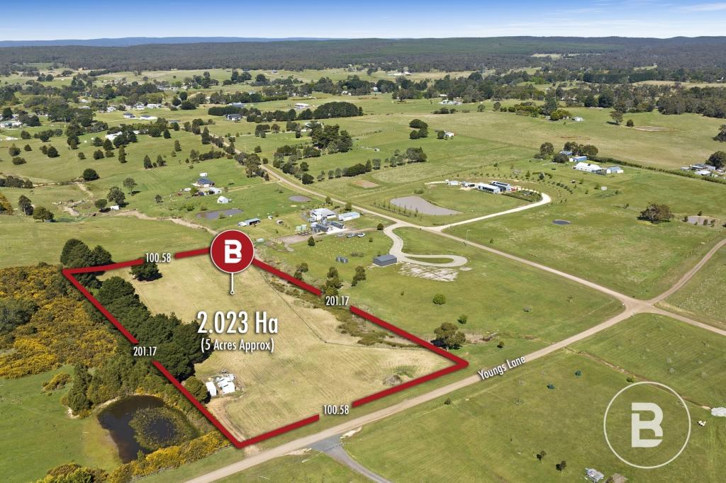 37 Youngs Lane, Snake Valley, VIC 3351