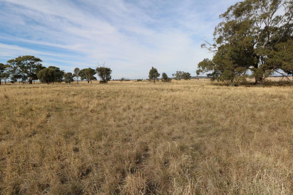  Charlton - Borung Road, Wychitella, VIC 3525