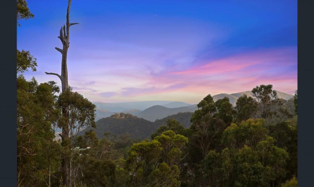 171 Guanaba Rd, Tamborine Mountain, QLD 4272