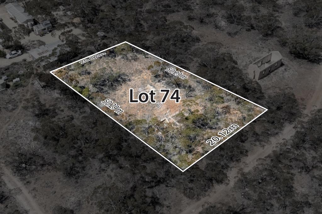 Lot 74 South Tce, Alawoona, SA 5311