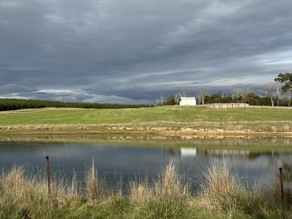 2431 Bridport Rd, Bridport, TAS 7262