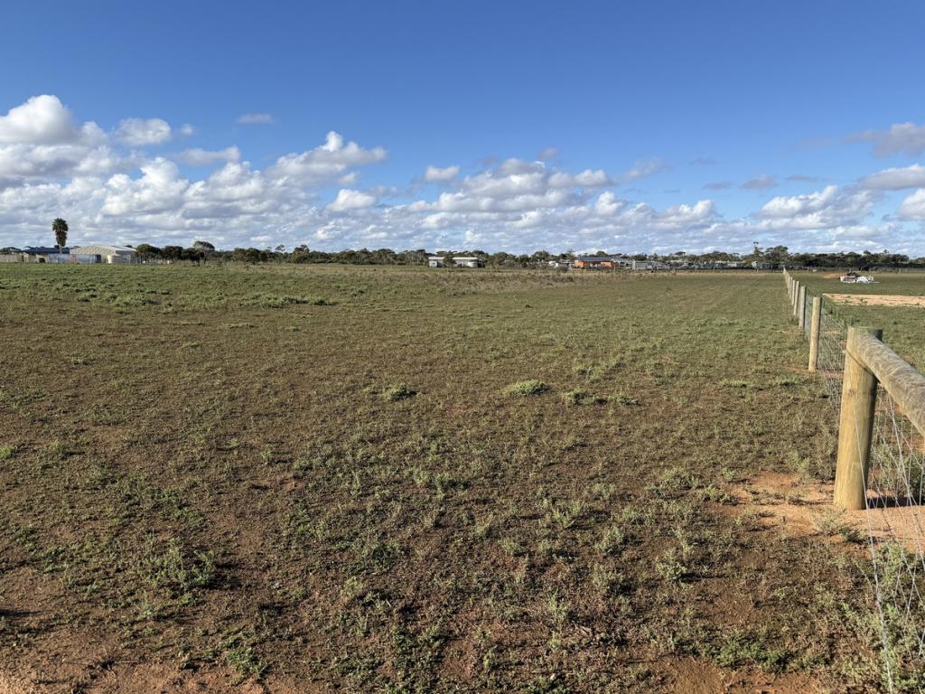 52a Schutt Rd, Dublin, SA 5501