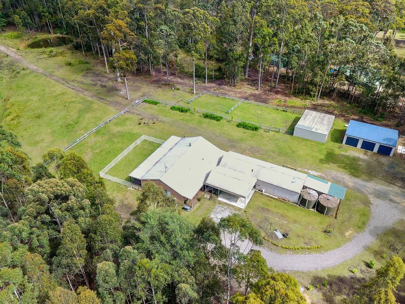 95 Jack Reid Rd, Termeil, NSW 2539