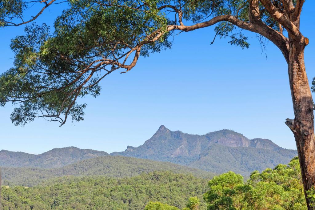 76 Bald Mountain Rd, Limpinwood, NSW 2484