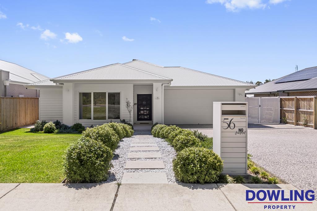 56 WESTERN RD, MEDOWIE, NSW 2318