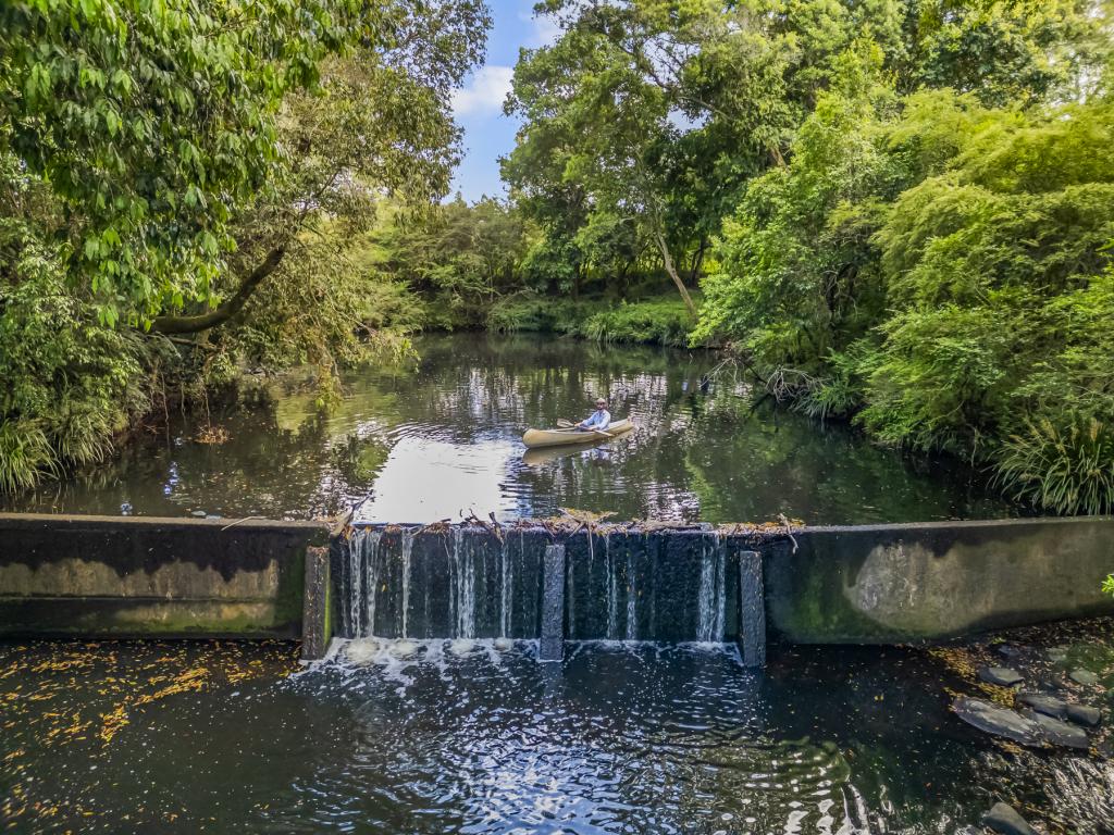 3201 Wallanbah Rd, Dyers Crossing, NSW 2429