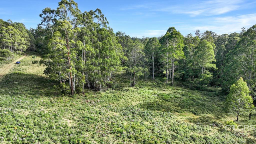 12f & 12g Minchins Trk, Bonang, VIC 3888