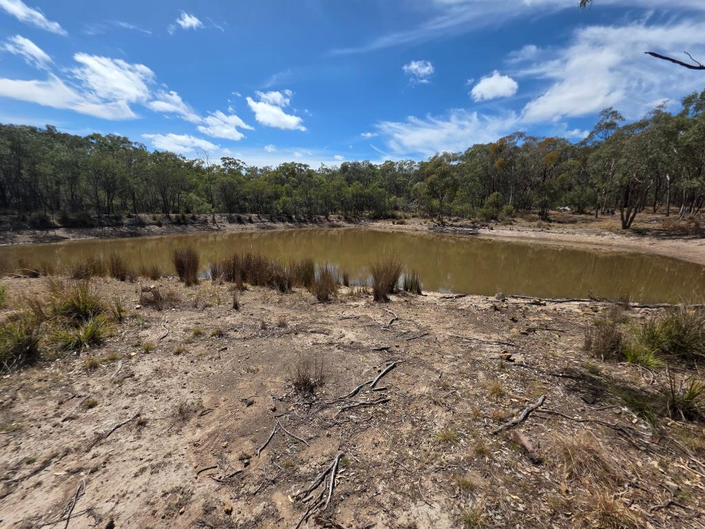 44 Foxbar Rd, Pikedale, QLD 4380