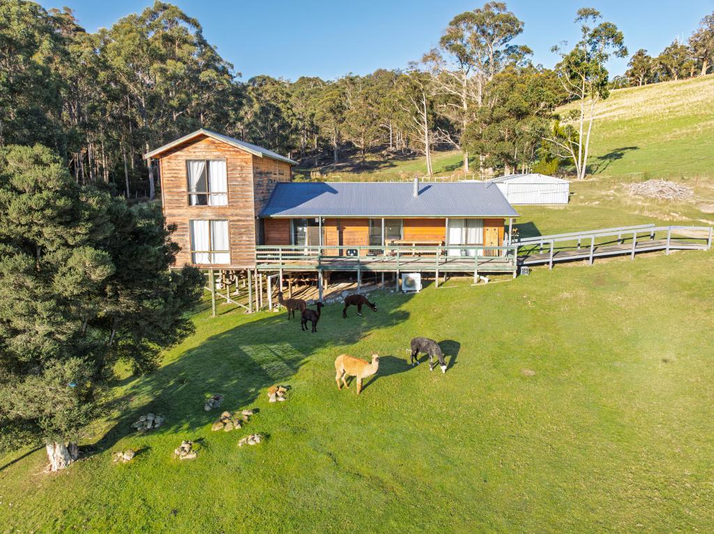 49 Packers Rd, Huonville, TAS 7109