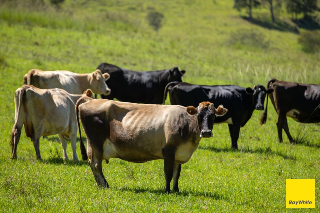 1989 Waukivory Road, Waukivory Via, Gloucester, NSW 2422