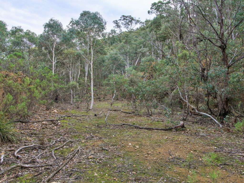 1648 Cassilis Rd, Cassilis, VIC 3898