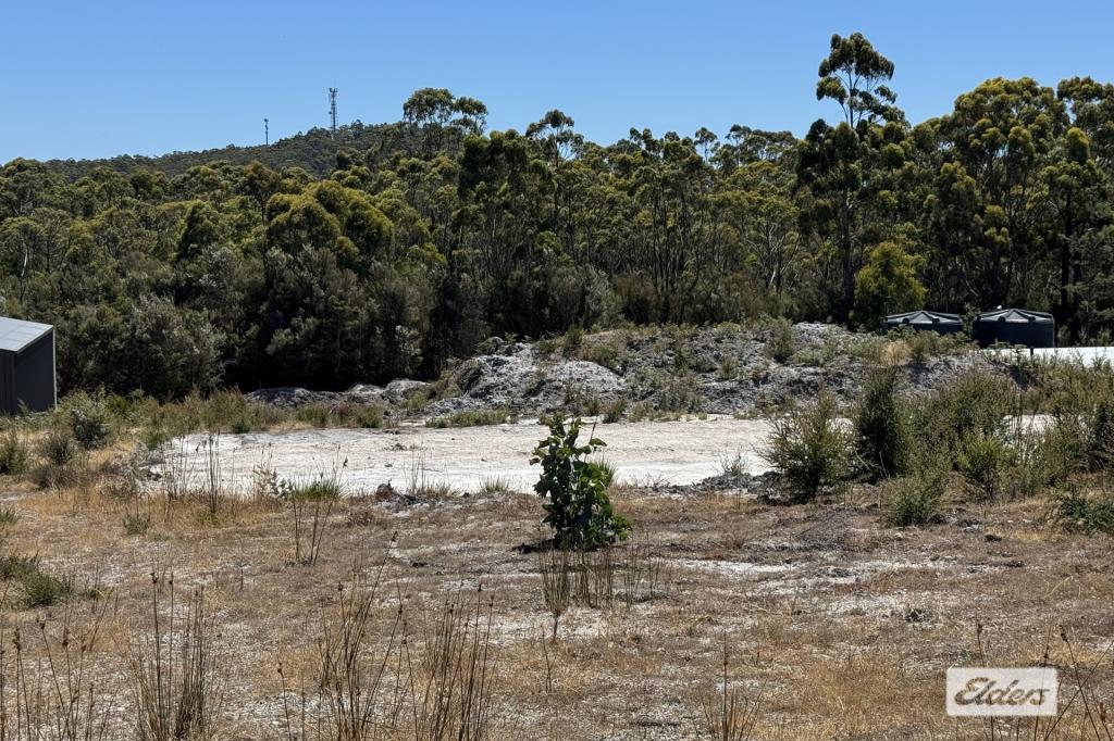 11 Bissett Pl, Heybridge, TAS 7316