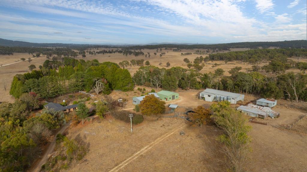 "Fern Hill" 526 Toms Gully Rd, Black Mountain, NSW 2365