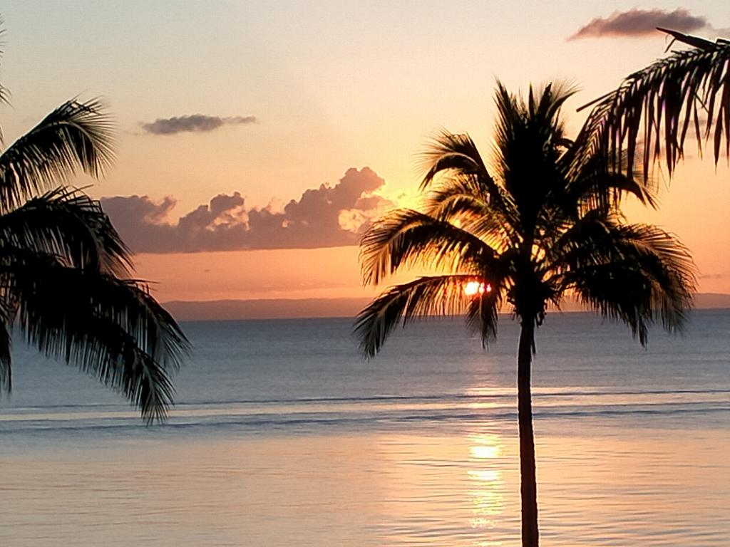 Contact Agent For Address, Surfers Paradise, QLD 4217