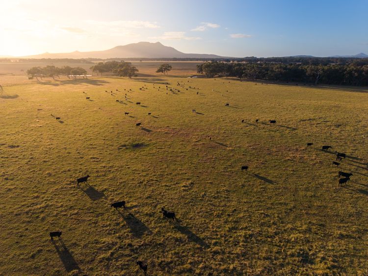 43303 SOUTH COAST HWY, MANYPEAKS, WA 6328