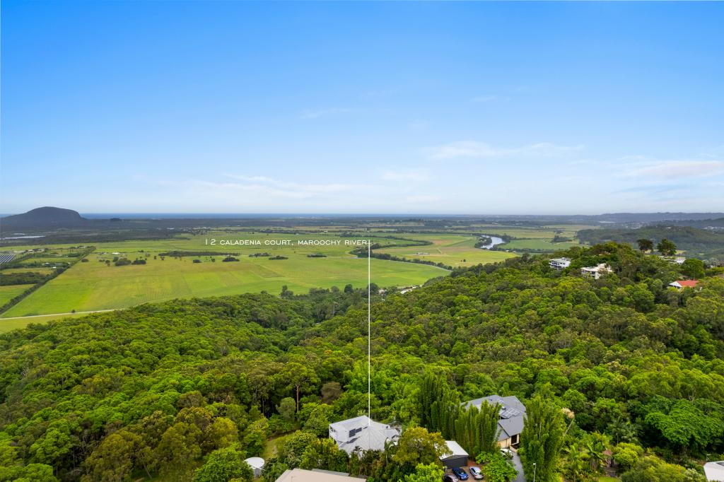 12 Caladenia Ct, Maroochy River, QLD 4561