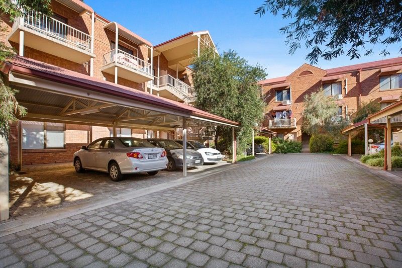 6/23 Winifred St, Adelaide, SA 5000