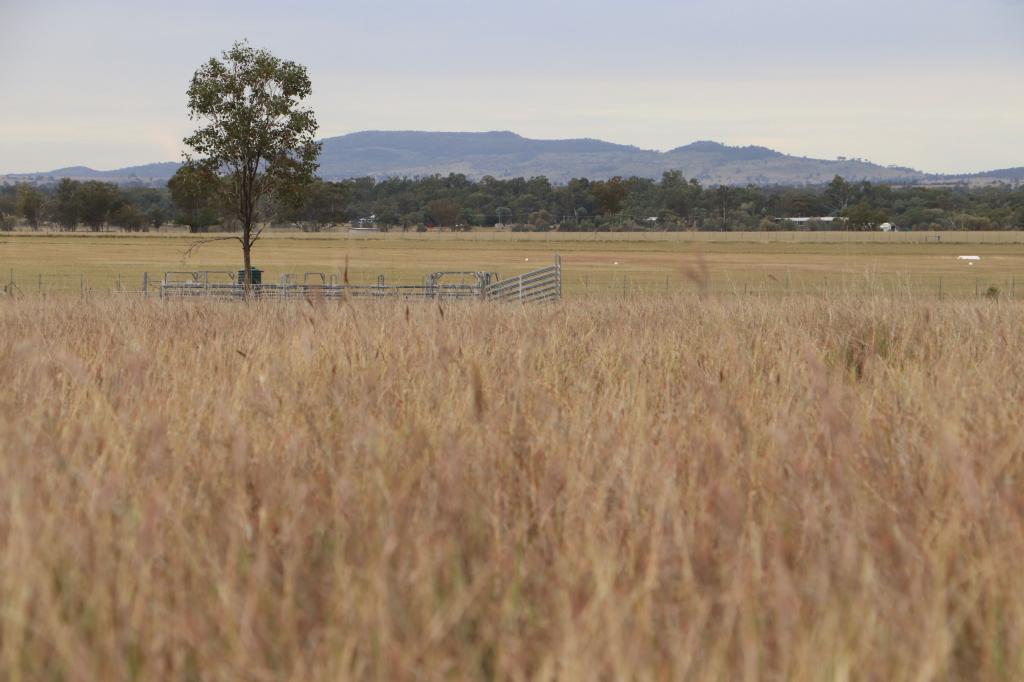 Contact agent for address, ROMA, QLD 4455