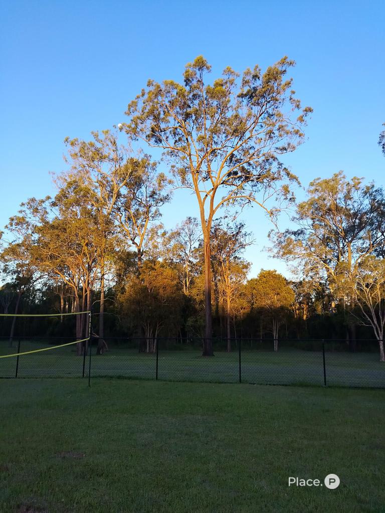 42 Ivanhoe Dr, Bethania, QLD 4205