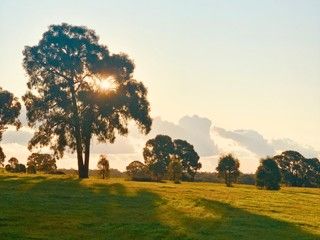 121 Mclennan Rd, Ladys Pass, VIC 3523