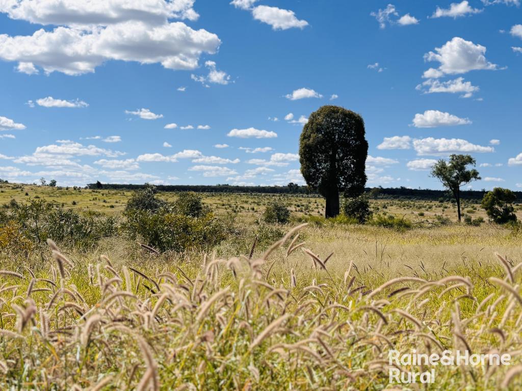 640 CARRINGTON RD, EUMAMURRIN, QLD 4455