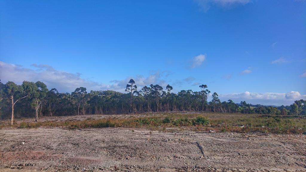 1 Bower Cct, Heybridge, TAS 7316