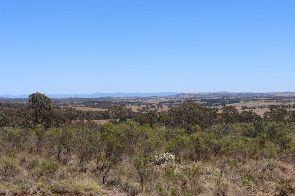 421 Shingle Hill Way, Gundaroo, NSW 2620