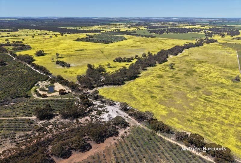 184 Ewert Rd, Morbinning, WA 6304